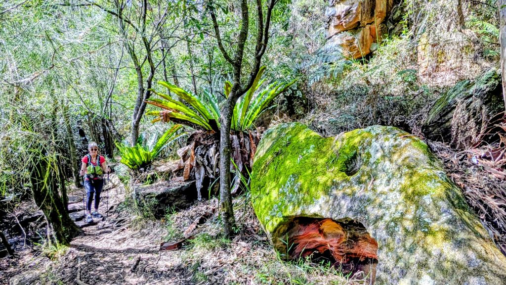 HA74. Chatswood to Top Ryde